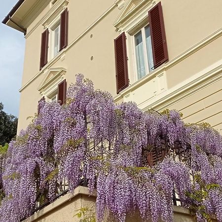 Il Pettirosso Apartment Monsummano Terme Bagian luar foto