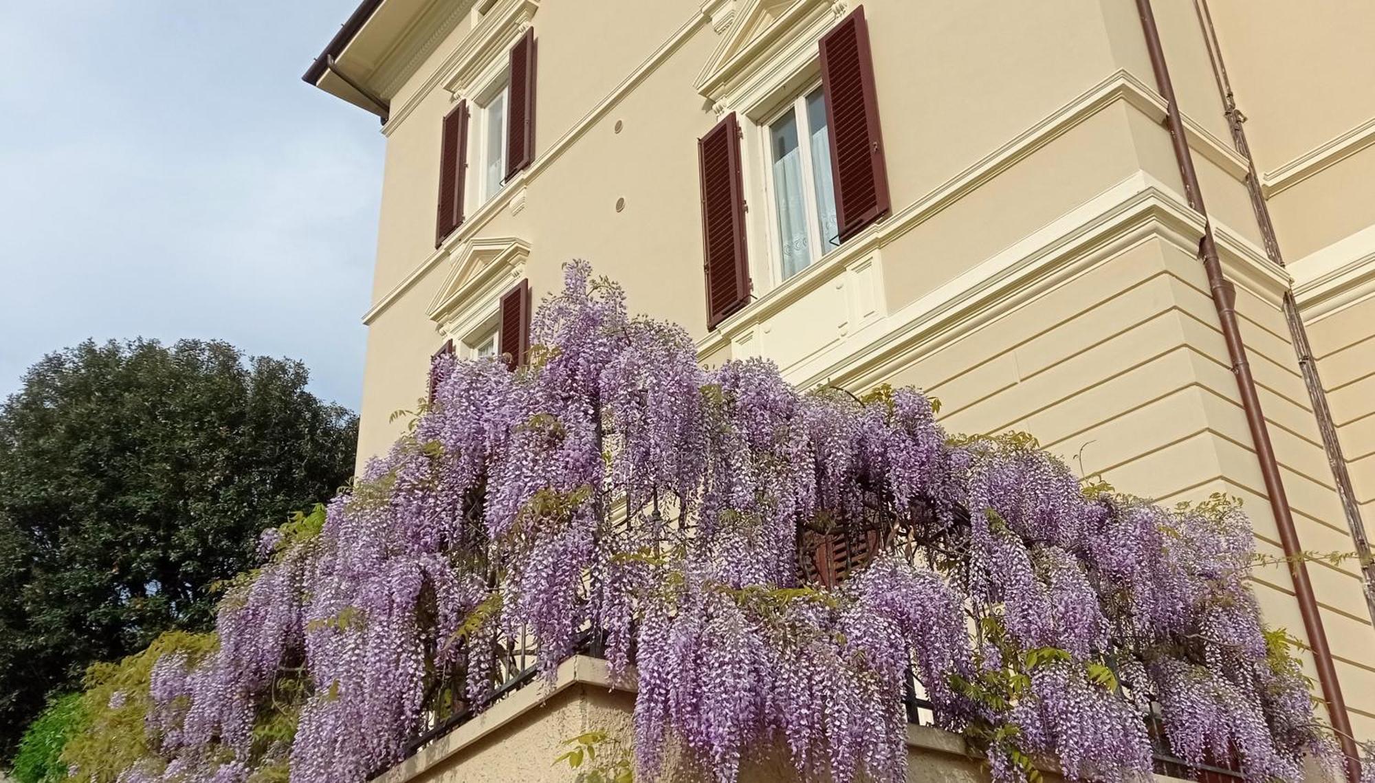 Il Pettirosso Apartment Monsummano Terme Bagian luar foto